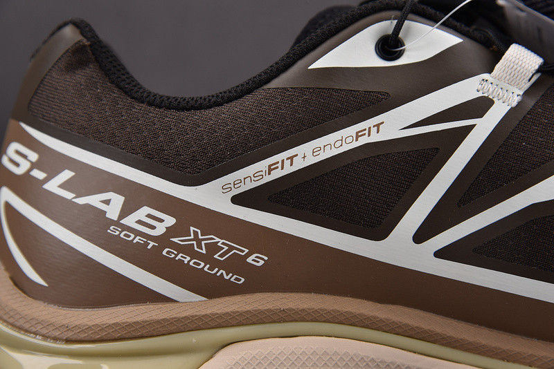 salomon xt-6 advanced