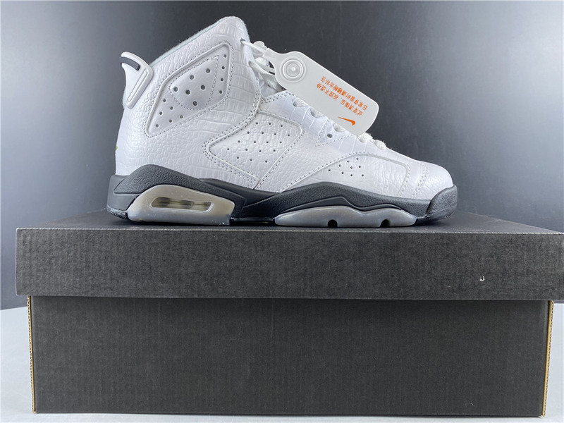 air jordan 6 gs alligator 384665-110
