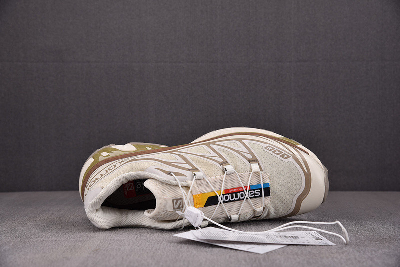 salomon xt-6 expanse