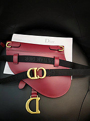 DIor BAG